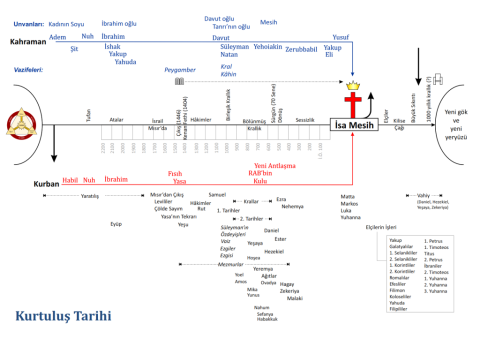 Kurtuluş Tarihi Grafiği - Güncellenmiş